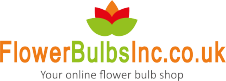 Flower Bulbs Inc